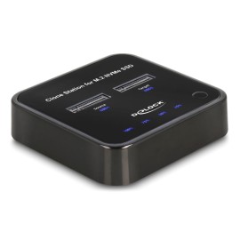 DELOCK docking station 64177, clone function, 2x M.2 NVMe 10 Gbps, μαύρο